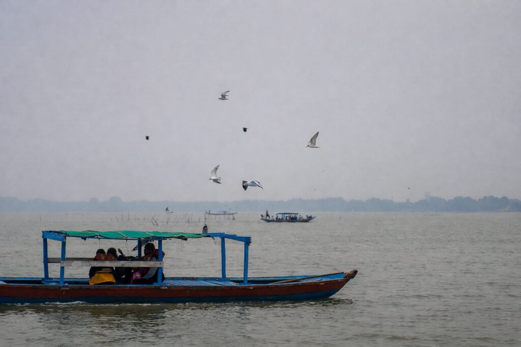 satapada-chilika-lake-boat-ride-birds Boat tour at Satapada in Chilika Lake with seagulls and tourists enjoying the lake view.